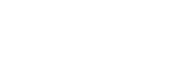 Logo-Iron-BR-Branco